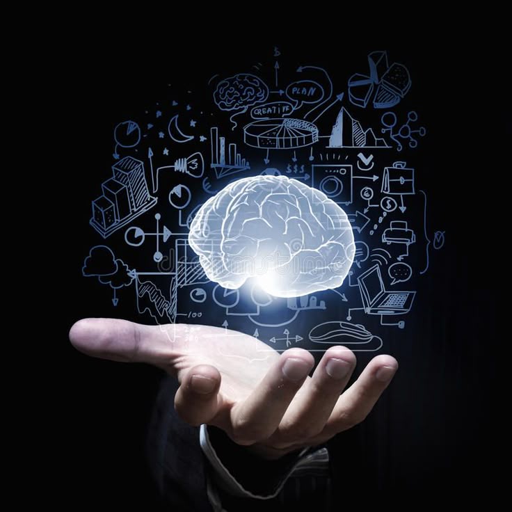 Human brain stock photo_ Image of touch, brain, search - 59709276